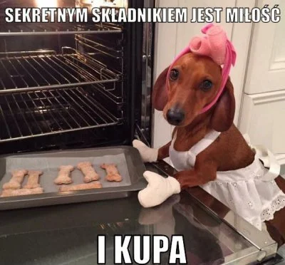 Ksurix - ! #Heheszki #Humorobrazkowy #smiesznypiesek #zwierzeta #zwierzaczki #gotujzw...