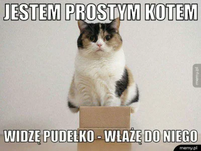 kamisan - #heheszki #humorobrazkowy #koty #smiesznekotki #zwierzaczki