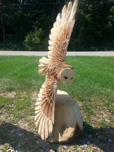 GraveDigger - Świetna rzeźba sowy płomykówki!
#rzezba #sowysazajebiste