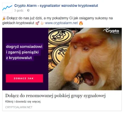 dubb - haha ci z cryptoalarm #!$%@? mnie nową kampanią reklamowa na fb xDDDD
#bitcoi...