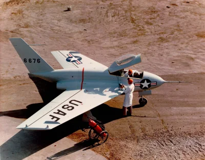 d.....4 - Northrop X-4 Bantam

Via wiki:

 Northrop X-4 Bantam (z ang. "kogucik") ...