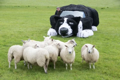 C.....r - #smiesznpiesek #zwierzaczki #owce #humorobrazkowy #motoryzacja #heheszki 

...