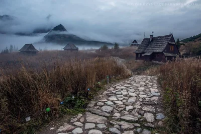 ColdMary6100 - Jesienne klimaty na na Hali Gąsienicowej #tatry #fotografia 
fot. Krz...