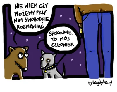 Zdejm_Kapelusz - #humorobrazkowy #pasjonaciubogiegozartu #smiesznypiesek