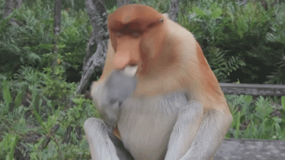 smoczewski - @Pisq: kurła a ja znowu hlep z pasztetem