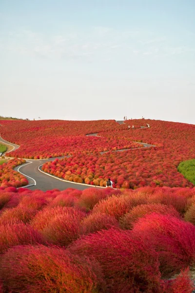 sandra925 - #japonia #earthporn #fotografia