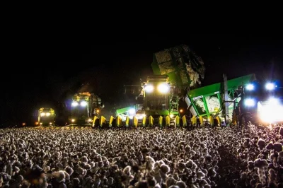 Mesk - Kombajn do zbioru bawełny wygląda w nocy jak koncert muzyczny
#muzyka #ciekaw...