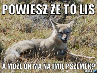 mastaprzemo - Nie wszystkie Przemki są leniwe !!!! 

#NieDlaGeneralizacjiPrzemków