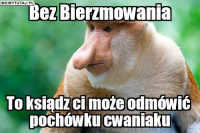 PawelW124 - #humor #heheszki #polak #nosaczsundajski #nosacz #gimboateizm #bekazkatol...
