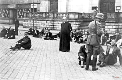 Budo - Może mało świątecznie, ale chciałem się tym zdjęciem podzielić. Na zdjęciu ksi...