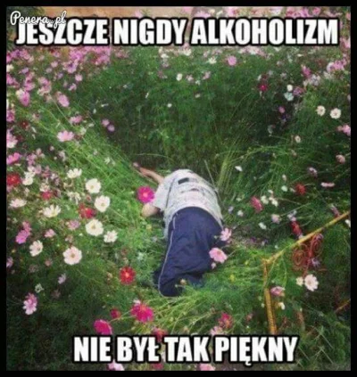 Trytytekzielonko - #heheszki