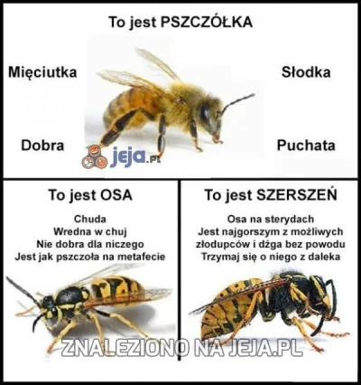 itaktojest - ale w 6s to nie jest pszczoła...