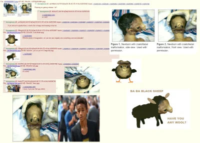 d.....n - #4chan #mizantropcontent