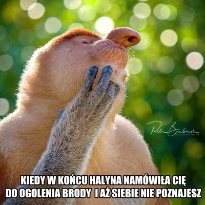 icojamamtuwpisac - #polak #nosaczsundajski #heheszki #humorobrazkowy