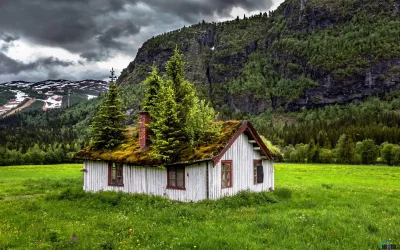Pani_Asia - Opuszczony domek pochłonięty przez naturę...

Hemsedal, Norwegia 

#n...