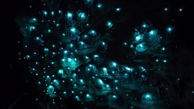 Mesk - Waitomo Glowworm Caves, Nowa Zelandia #earthporn #ciekawostki #gif #mindtrippe...