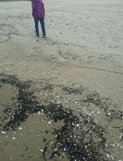 Wirtuoz - Cągnie Grażyna za sobą te kije przez całą plaże. #nordicwalking #wtf #hehes...