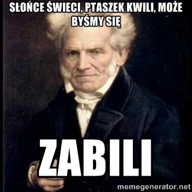 PostironicznyPowerUser - #schopenhauer #heheszki