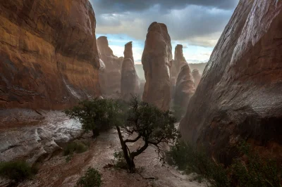 sIcKwOrLd - Kanion w czasie ulewy, Arches National Park, Utah 
#earthporn #fotografi...