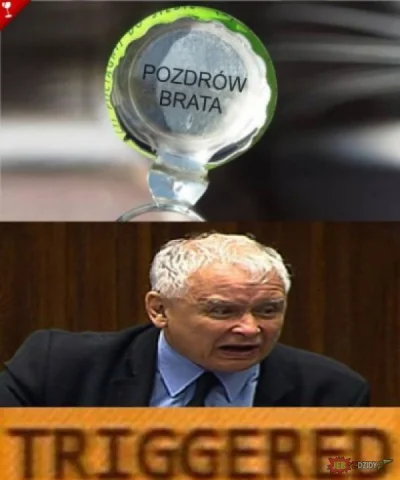 TheDamex - #heheszki #pis #czarnyhumor #kaczynski