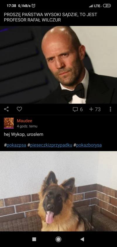 k.....7 - @Andrzejek13: no faktycznie Wilczur