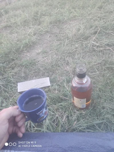 szaman136 - Mirki zapraszam na #wykoppiwo w #borowina #trawnik #lubelskie