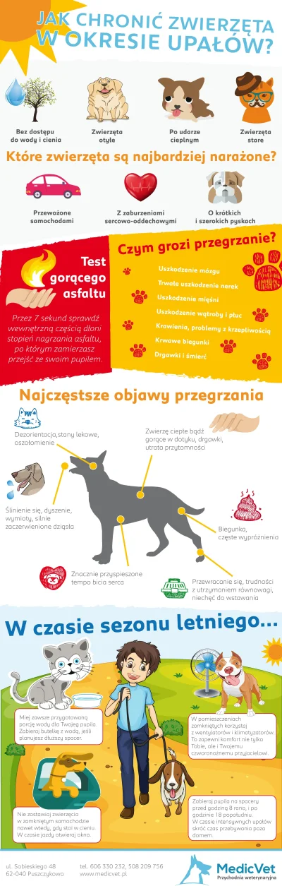 Payk2 - Ciekawostka w formie infografiki na temat ochrony zwierząt w czasie upałów ht...