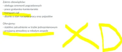 Poliorketes - Chyba warto aplikować( ͡° ͜ʖ ͡°)
#przegryw #pracbaza #praca