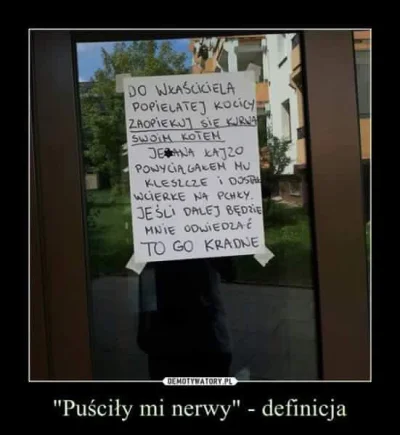 wyindywidualizowanablondmultipla - Dobry chłopak z tego furiata (｡◕‿‿◕｡) 
#kotki #kot...