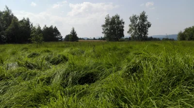 Einusologus - Dziś zielone łąki w #beskidniski. Po czterech dniach deszczu, wreszcie ...