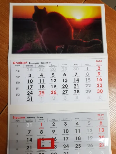 acidd - Ładny kalendarz sobie kupiłem? xD
#kalendarze #koty
ps. szkoda tylko, że mi...