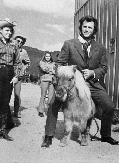 TSoprano - Clint Eastwood na kucyku. ( ͡° ͜ʖ ͡°)
#starezdjecia #aktor #clinteastwood ...