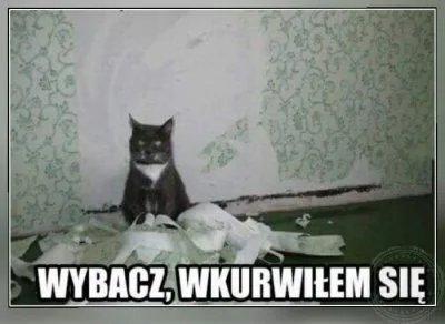 CacyIsBack - @Zdejm_Kapelusz: