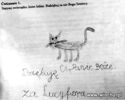 p.....k - #dziendobry #heheszki