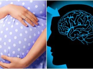 Zdejm_Kapelusz - Kobietom w ciąży... kurczy się mózg. Mają przez to problemy poznawcz...