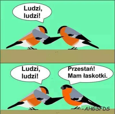 kubapoz - #ohui #heheszki #humorobrazkowy