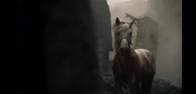 pan-ferdynand-magellan - Wiadomo, dlaczego koń nie spłonął w ogniu w King's Landing. ...