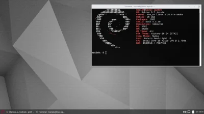 baniorzzmodzela - always minimal
#pokazpulpit #linux