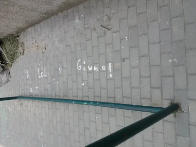 kornowski - Takie tam chodnikowe graffiti w #bielskobiala 
#gownowpis