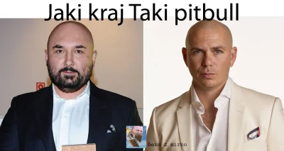 t.....i - Jaki kraj taki #pitbull ( ͡° ͜ʖ ͡°)
link
#heheszki #patrykvega #vega #fil...