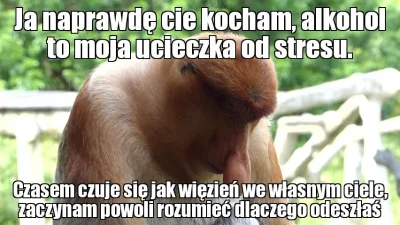 K.....5 - (╥﹏╥)
#nosaczsundajski #nosaczfeels #polak #feels #heheszki