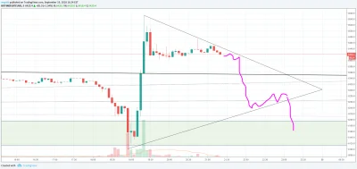 d.....r - #bitcoin #janusztradingu #smiesznekreski Dziś wróże z fusów z yerbamate ;)