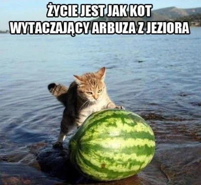 zieloony - #koty #zycie #filozofia #niewiemcojeszcze ( ͡° ͜ʖ ͡°)