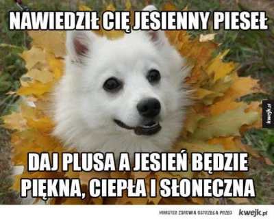 Annaroth - Zadbajmy o lepsze jutro 

#heheszki #protip