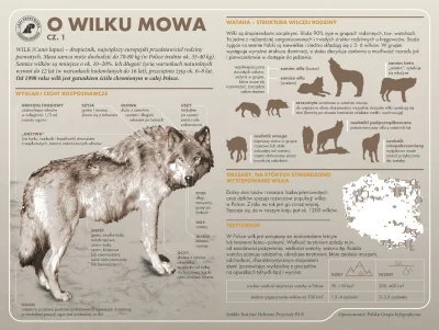 Lifelike - #nauka #biologia #wilk #przyroda #infografika #liganauki #swiatnauki #grap...