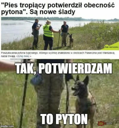 LoordHagen - tak bylo
#psy #pyton #heheszki