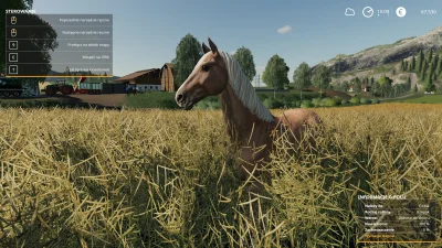 airavandrel - Koń w zbożu.

#farmingsimulator