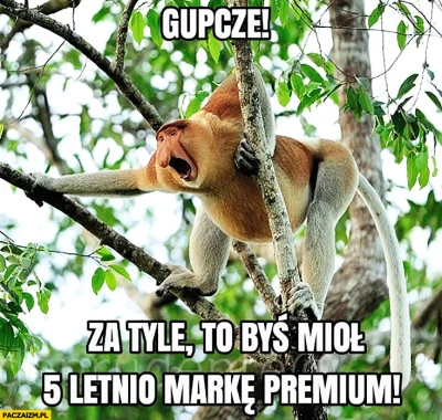 Red_u - > Gucci ace za 2k PLN

@WujekRada: