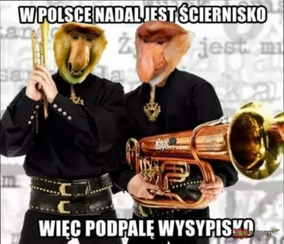 darosoldier - ##!$%@? #kolejnydzienbezpozaru #nosaczsundajski #heheszki