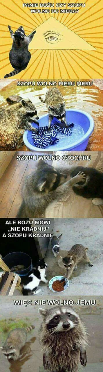 Eutanazja - (｡◕‿‿◕｡)

#codziennekitku #zwierzaczki #humorobrazkowy #smiesznypiesek